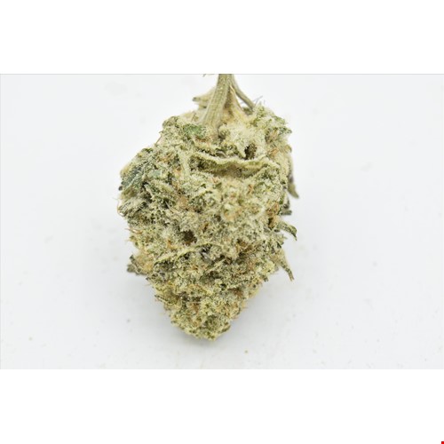 Blue Lobster (Hybrid) - SALE 1 OZ $55